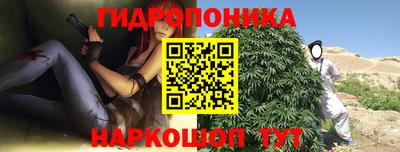каннабис Новодвинск