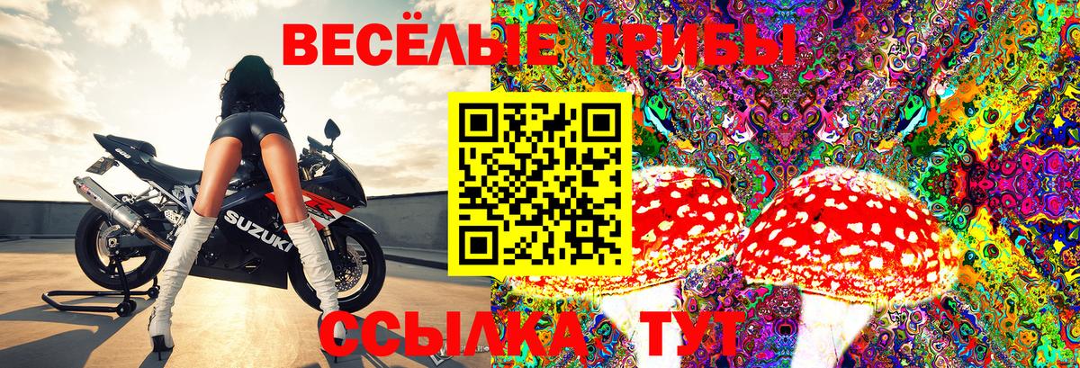 Псилоцибиновые грибы GOLDEN TEACHER  Псилоцибиновые грибы мухоморы  Сунжа  Вход с VPN 