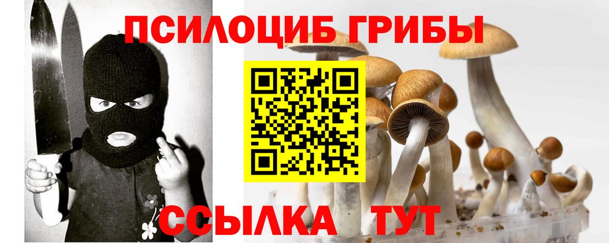 Галлюциногенные грибы Psilocybe Сунжа