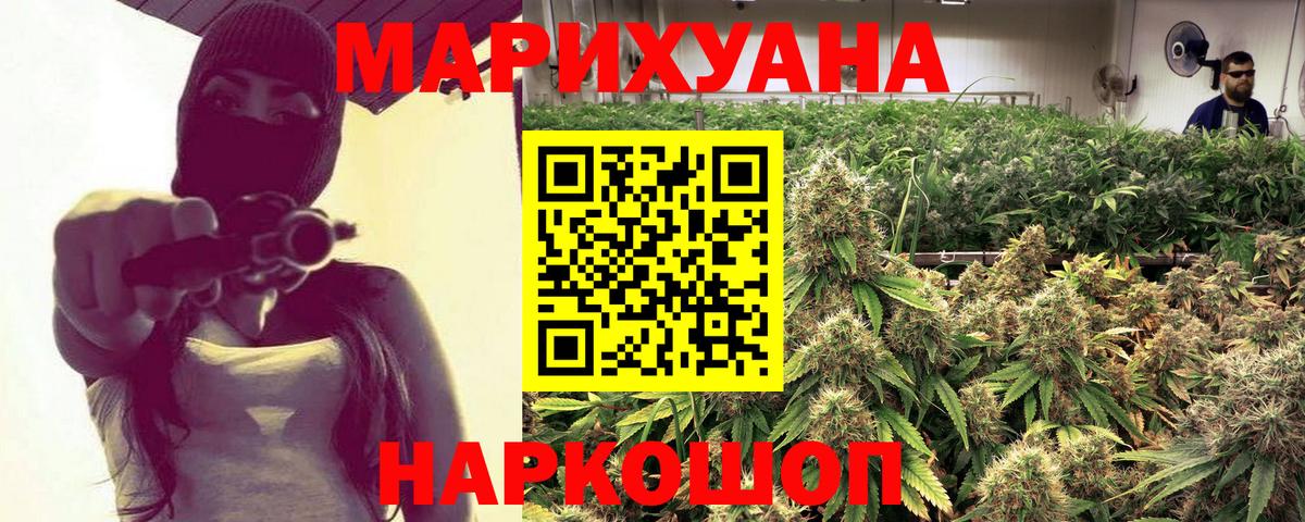Шишки марихуана конопля Сунжа